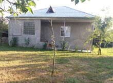 Bağ evi kirayə verilir, Zaqatala r.