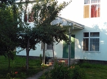 Villa kirayə verilir, Qəbələ r.
