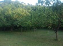12 sot torpaq sahəsi, Quba r.