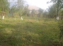 6 sot torpaq sahəsi, Quba ş.