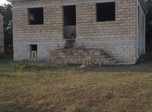 Həyət evi,Masallı r.