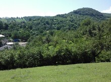 4 sot torpaq sahəsi, Quba r.