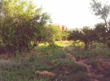 20 sot torpaq sahəsi, Sumqayıt ş.