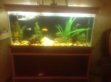 Akvarium
