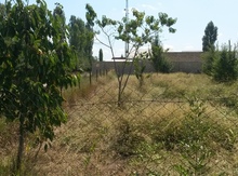 10 sot torpaq sahəsi, Xaçmaz r.
