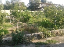 5 sot torpaq sahəsi, Naxçıvan ş.