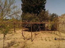 68 sot torpaq sahəsi, Saray qəs.