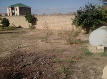 11 sot torpaq sahəsi, Novxanı qəs.,