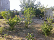 5.2 sot torpaq sahəsi, Sumqayıt ş.