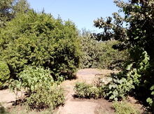 Həyət evi, Cəlilabad ş.