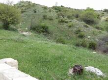 12 sot torpaq sahəsi, Şamaxı r.