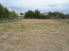 8 sot torpaq sahəsi, Quba r.