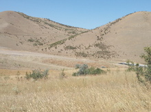 546 sot torpaq sahəsi, Siyəzən r.