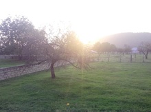 24 sot torpaq sahəsi, Qəbələ r.