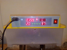 İnkubator