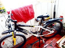 Velosiped "Comanche"