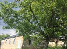 Həyət evi, Şamaxı r.