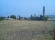 12 sot torpaq sahəsi, Naxçıvan ş.