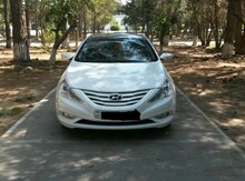 Hyundai Sonata, 2010 il