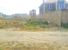 1.5 sot torpaq sahəsi, Masazır qəs.