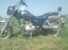 Dayun, 2008 il