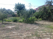 2.5 sot torpaq sahəsi, Saray qəs.