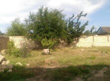 6 sot torpaq sahəsi, Novxanı qəs.,