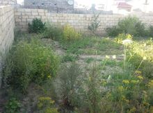 2 sot torpaq sahəsi, Zabrat -1 qəs.