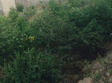 3 sot torpaq sahəsi, Zığ qəs.