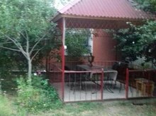 Həyət evi kirayə verilir, Qəbələ r.,