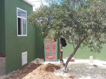 Həyət evi, Maştağa qəs.