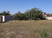 17 sot torpaq sahəsi, Sumqayıt ş.,