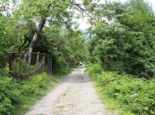 6 sot torpaq sahəsi, Qax ş.,