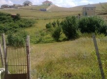 12 sot torpaq sahəsi, Şamaxı r.