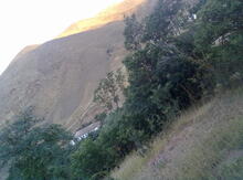 7 sot torpaq sahəsi, Lerik qəs.