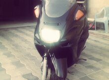 Moped ''Gelly'', 2008 il