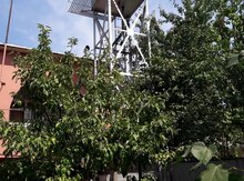 Su çəni