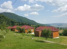 1300 sot torpaq sahəsi, İsmayıllı r.