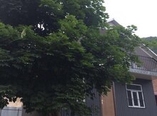 Bağ evi, Qəbələ r.
