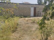 5 sot torpaq sahəsi, Şabran r.,