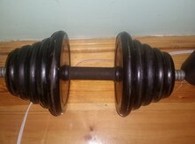 Qantel 31 kg
