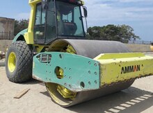 AMMANN, 2014 il