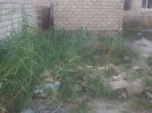2 sot torpaq sahəsi, Sumqayıt ş.
