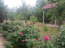 Bağ evi, Quba r.