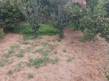 2 sot torpaq sahəsi, Maştağa qəs.