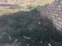 5 sot torpaq sahəsi, Abşeron r.