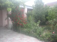 Həyət evi, Sumqayıt ş.