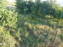 2.0 sot torpaq sahəsi, Maştağa qəs.,