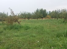 30 sot torpaq sahəsi, Qəbələ r.