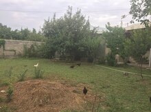 Həyət evi, Naxçıvan ş.